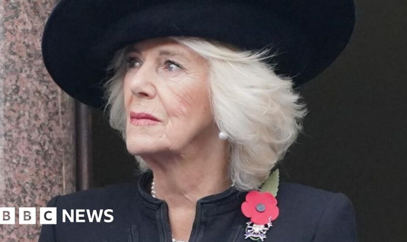 Queen to miss Remembrance events after illness