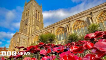 Remembrance: Why do we wear poppies?