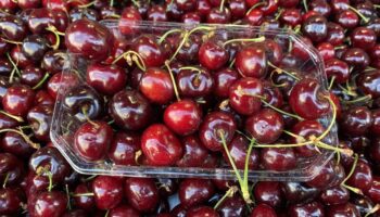 Retirer certains fruits importés des rayons en hiver : utile ou futile pour la planète ?