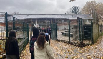 Retour en classe pour les élèves du collège de Gif inondé en octobre : « À distance, c’était trop compliqué »