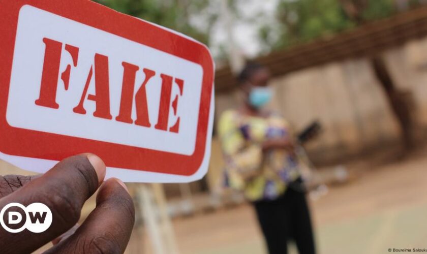 Russland, China und Katar verbreiten Fake News in Afrika