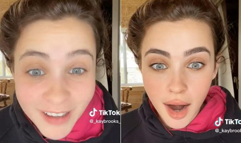 Santé mentale : les «filtres beauté» de TikTok ne seront bientôt plus accessibles aux ados