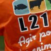 Savoie: un abattoir suspendu après une plainte de L214 pour «actes de cruauté»