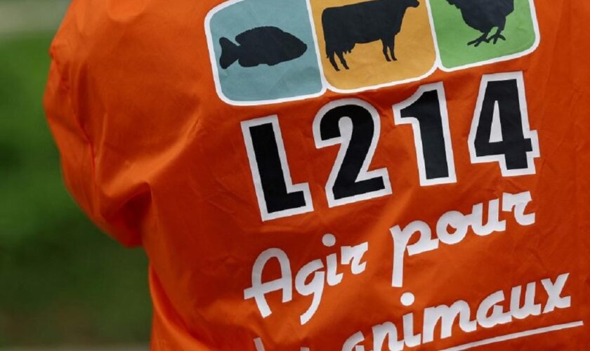 Savoie: un abattoir suspendu après une plainte de L214 pour «actes de cruauté»