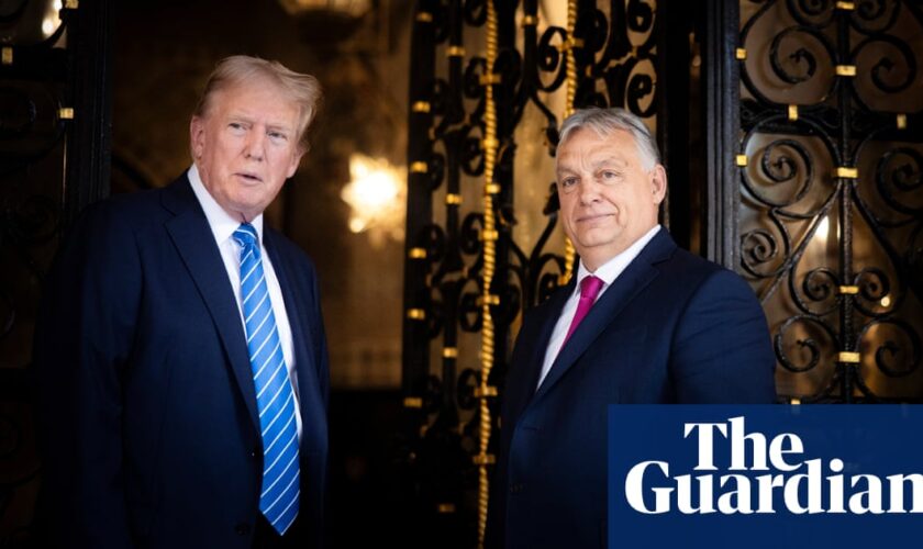 Second Trump reign could make life ‘a lot harder’ for EU’s far-right leaders