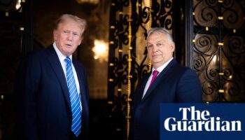 Second Trump reign could make life ‘a lot harder’ for EU’s far-right leaders