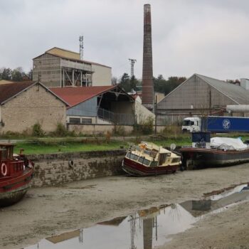 Seine-et-Marne : après la mystérieuse pollution tueuse de poissons, le canal du Loing vidangé