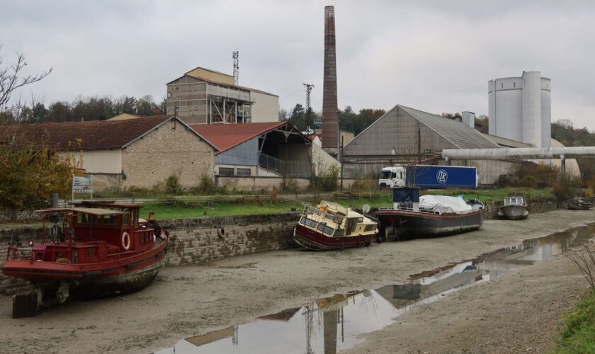 Seine-et-Marne : après la mystérieuse pollution tueuse de poissons, le canal du Loing vidangé