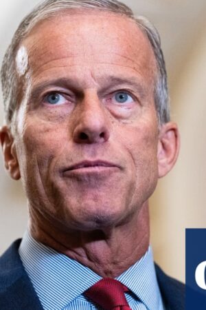 Senate Republicans elect John Thune as next majority leader