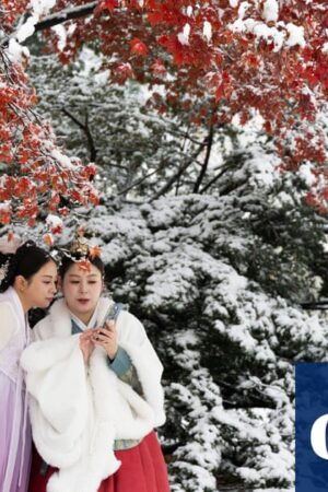 Seoul slows down under blanket of heaviest November snow in 100 years