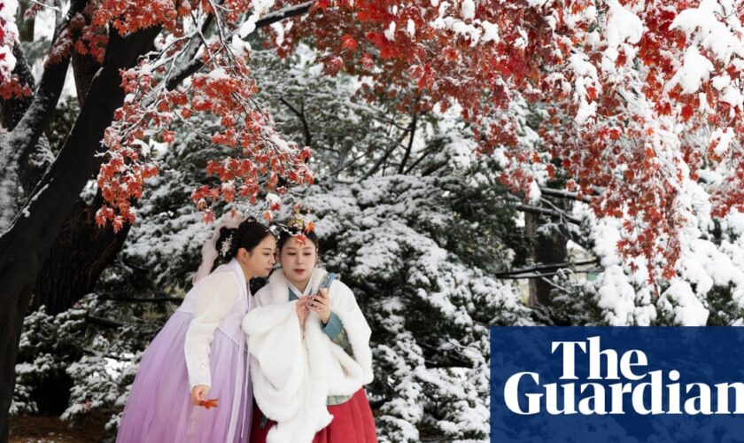 Seoul slows down under blanket of heaviest November snow in 100 years