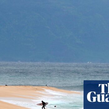 Shark bites off surfer’s leg in Hawaii