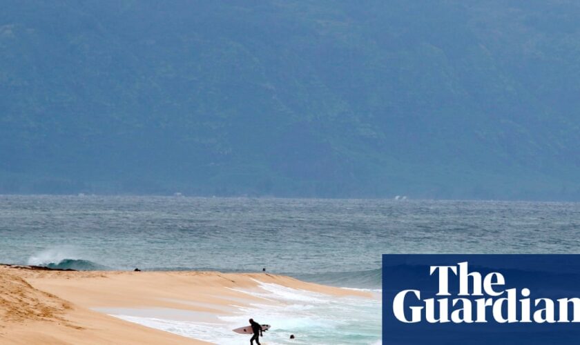 Shark bites off surfer’s leg in Hawaii