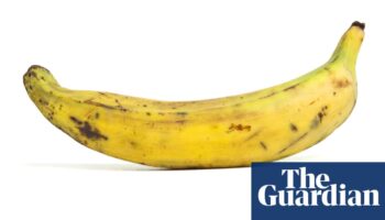 Shoppers can be made to feel sorry for single bananas, study finds