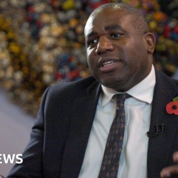 Slavery reparations not about transfer of cash, says Lammy