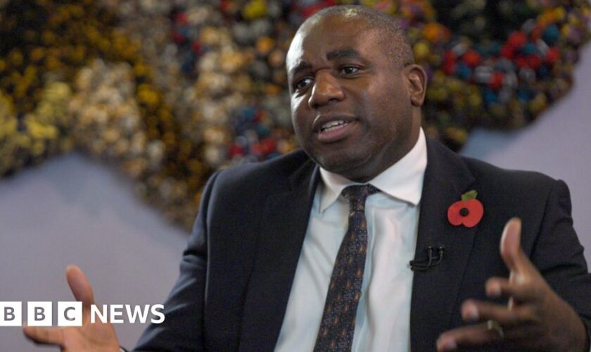 Slavery reparations not about transfer of cash, says Lammy