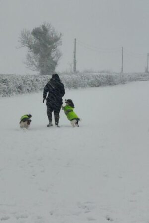 Snow and ice shut schools as Storm Bert looms