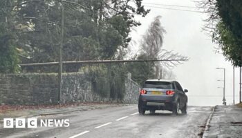 Storm Bert brings disruption with 82mph gusts