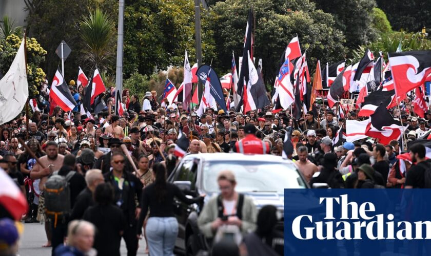 Tens of thousands march on NZ parliament in protest against bill to reinterpret founding treaty with Māori