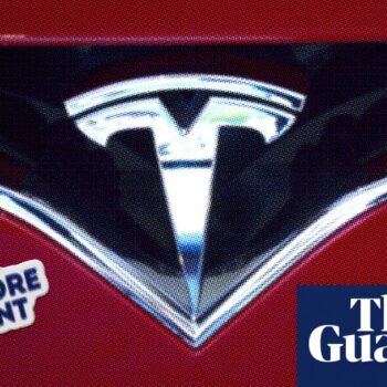 Tesla owners turn against Musk: ‘I’m embarrassed driving this car around’