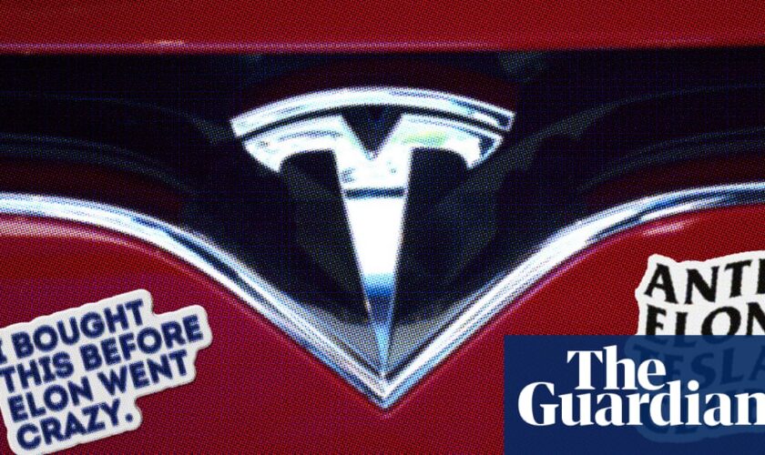 Tesla owners turn against Musk: ‘I’m embarrassed driving this car around’