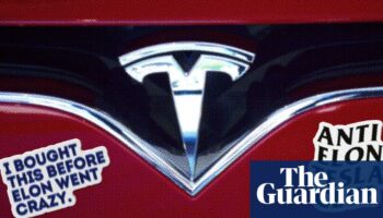 Tesla owners turn against Musk: ‘I’m embarrassed driving this car around’