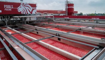 Tomates: face à la surproduction chinoise le géant italien Mutti tente de résister