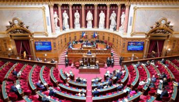 Travailler gratuitement 7 heures par an : le Sénat vote cette nouvelle « contribution » dans le budget de la Sécu