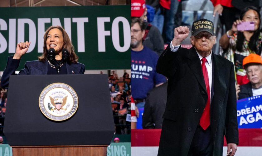 «Trump fatigué», «Harris optimiste», prolifération de post-it... La folle fin de campagne présidentielle américaine