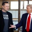 Trump pone a Elon Musk al frente del departamento de «eficiencia gubernamental» de EE.UU.