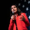 Tulsi Gabbard, que acusó a Ucrania y a EEUU de tener 30 laboratorios secretos para crear virus, dirigirá el espionaje estadounidense