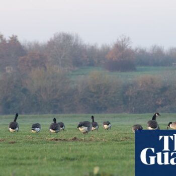 UK temperatures to plunge on Monday after mild weekend, Met Office says