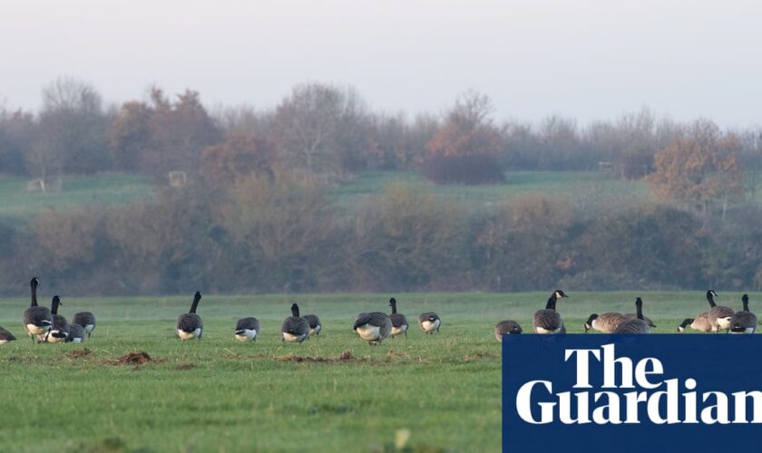 UK temperatures to plunge on Monday after mild weekend, Met Office says