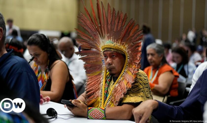 UN nature summit approves Indigenous consultative body