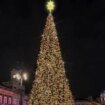 Un abeto con la altura de un edificio de 12 plantas alumbrará la Navidad en la Puerta del Sol