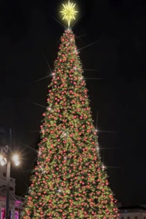 Un abeto con la altura de un edificio de 12 plantas alumbrará la Navidad en la Puerta del Sol