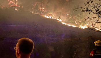 Un conato de incendio forestal en El Paso (La Palma) obliga a evacuar a los vecinos más cercanos