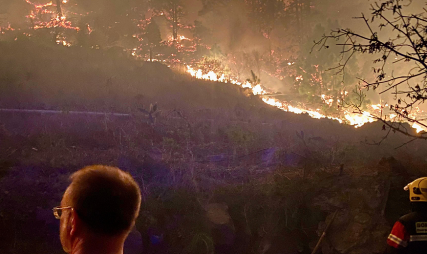 Un conato de incendio forestal en El Paso (La Palma) obliga a evacuar a los vecinos más cercanos