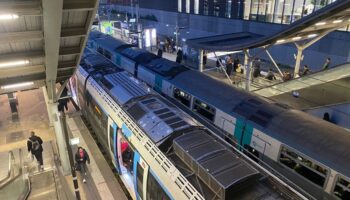 Un homme percuté par un RER en gare de Nanterre-Université lors d’une intervention d’agents de sécurité de la RATP