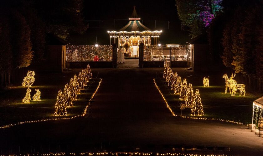 Un nouveau record d’affluence à venir ? Lumières en Seine prend le relais d’Halloween au domaine de Saint-Cloud