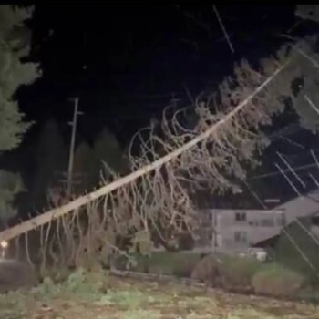 Una bombogénesis deja una mujer muerta y 600.000 casas sin luz en el noroeste de EEUU