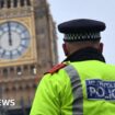 Westminster honeytrap victims in Met Police data breach