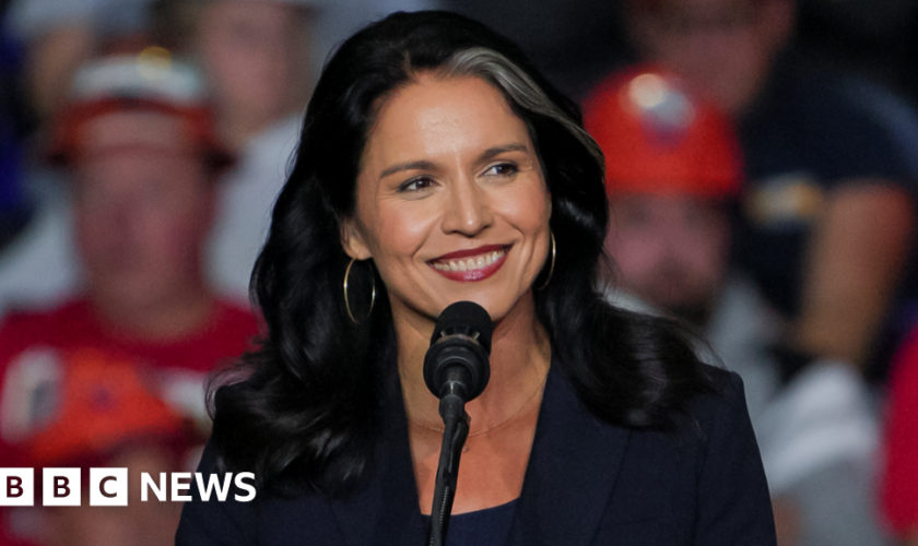 Who is Trump intelligence pick Tulsi Gabbard, accused of repeating Russian talking points?