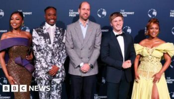 William announces Earthshot winners in Cape Town