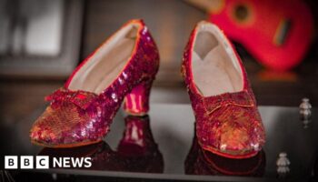 Wizard of Oz ruby slippers go on display ahead of auction