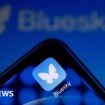 X users jump to Bluesky - but what is it and who owns it?