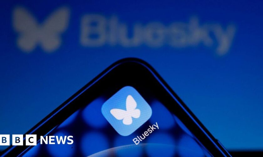 X users jump to Bluesky - but what is it and who owns it?