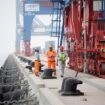 Xi inaugurates South America's first Chinese-funded port in Peru