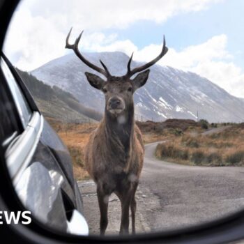 Your pictures on the theme of 'road trip'