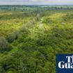 ‘A special place’: Guardian readers’ generosity helps to save rewilded farm